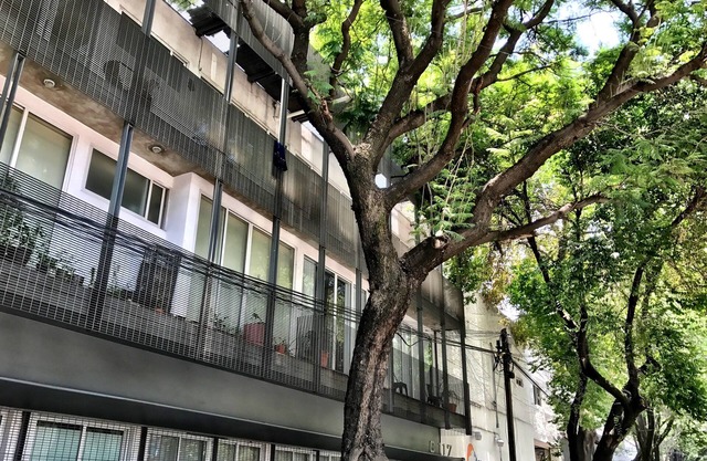 Modern Building next to Condesa and WTC