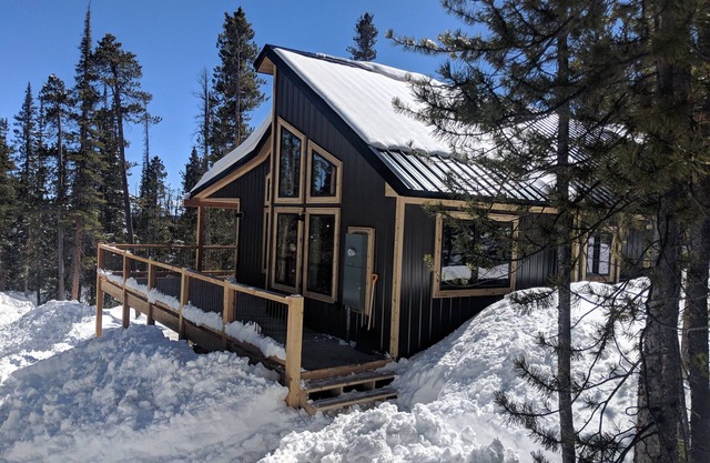 Modern Cabin on 41 Private Acres of Spruce and Pine Forest