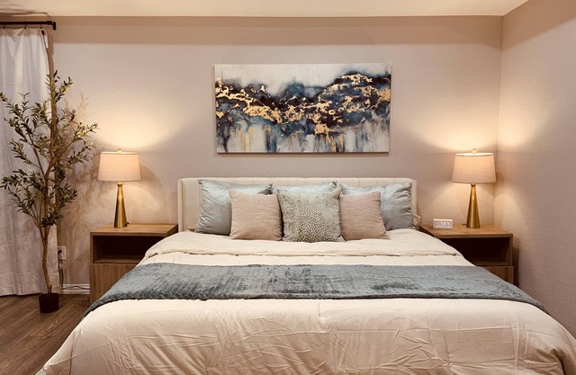 Modern Comfy Home in DFW