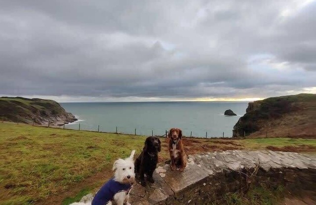 Modern Home & Garden nr Brixham w/Private Parking