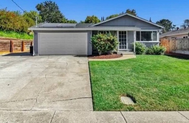 Modern Spacious Home with Yard