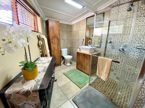 Modern Van Riebeeck Park Accomodation