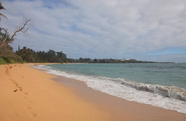 🌸Moku Paradise🌸 - Beach | PCC