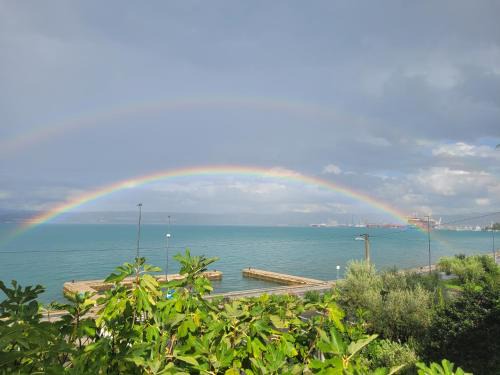 Molet apartments Koper