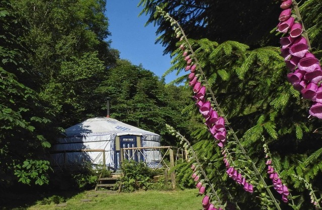 Mongolian yurt in idyllic and totally private setting on Dartmoor