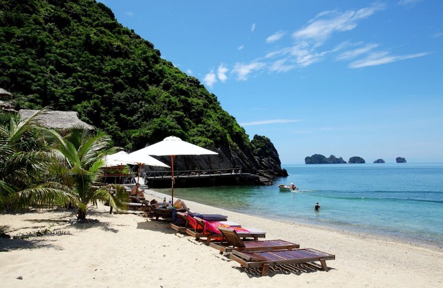 Monkey Island Resort 