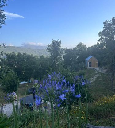 Monkey Tiny Barnhouse with amazing views!