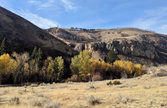Montana's Tranquil Dry Creek Hideaway