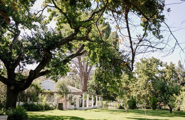 Montpellier de Tulbagh