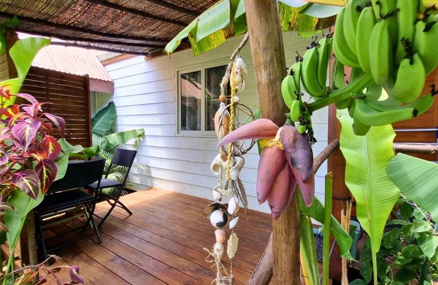 MOOREA - Studio Natura Cosy
