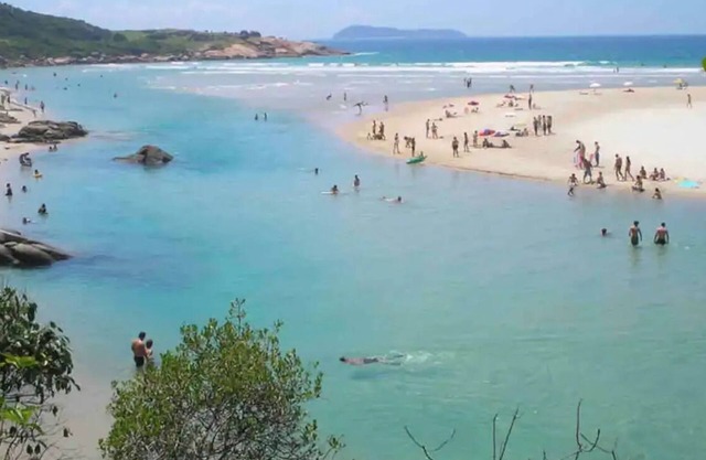 Morada dos Pássaros- Arara