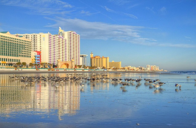 More fun than you have time for !