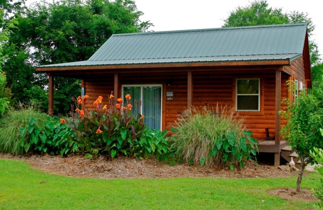 Morningstar Cabin Caddo River. GREAT VALUE! River access!