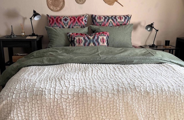 Mosquito Guest House 2