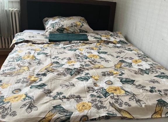 Motel Schwanen