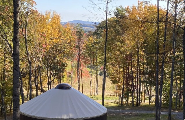 Mother Earth, stargazing from the hot tub, Mountain Views, outdoorsman paradise