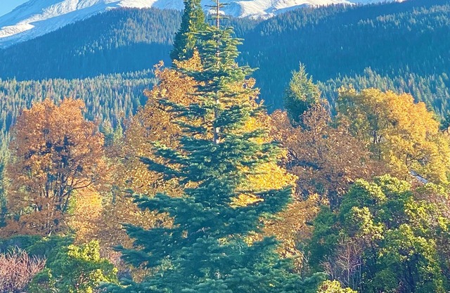 Mount Shasta is calling - The House of Light