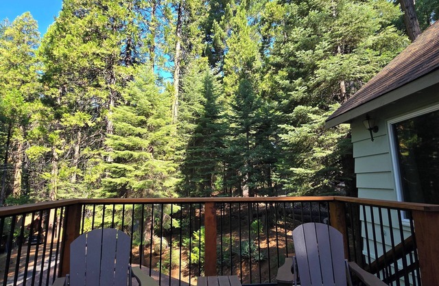 Mountain Home Get Away. Pet friendly in the Dorrington area of Arnold CA.