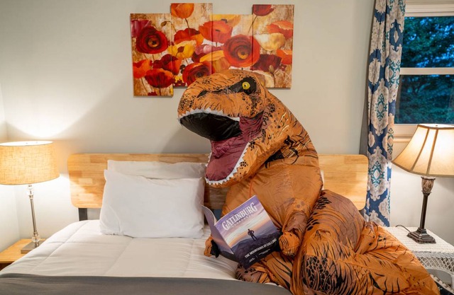 Mountain Home Near DollyWood HOT TUB, Games, sleeps 12!