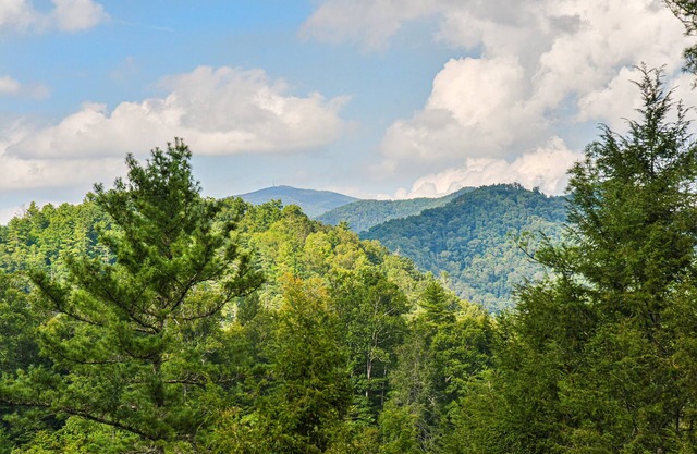 MOUNTAIN HOME NEW DISCOUNTED RATES MOUNTAIN VIEWS MILITARY DISC PETS HOT TUB