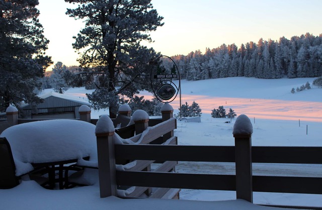 Mountain Meadow View