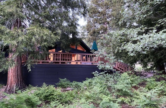 Mountain mod cabin w/EV charging - Fernwood