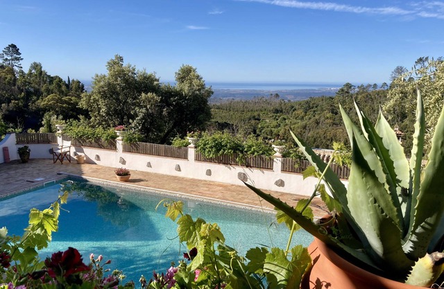 Mountain Retreat in Magical Setting with Heated Pool and Beautiful Garden