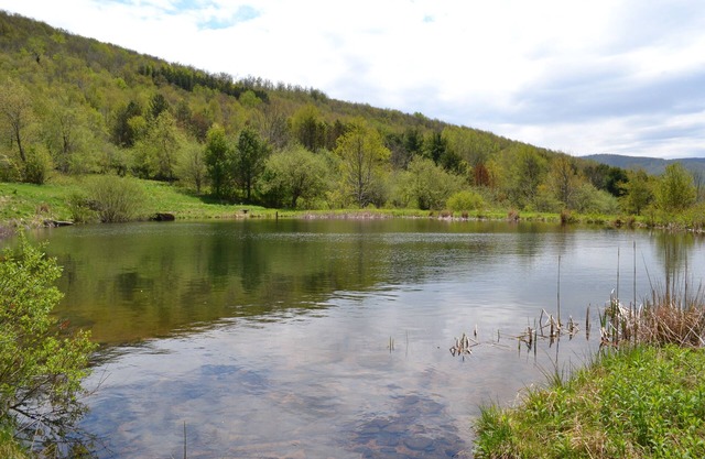 Mountain Top Retreat, 116 private acres