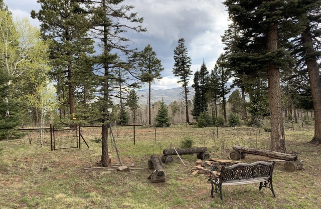 Mountain Top Retreat