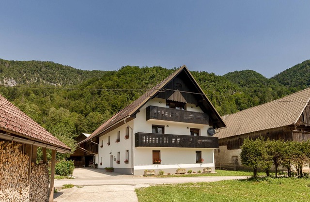 Mountain View Apartment in Bohinj