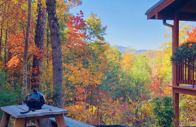 Mountain View Best in Show PRIVATE Romantic Close to Town Gorgeous