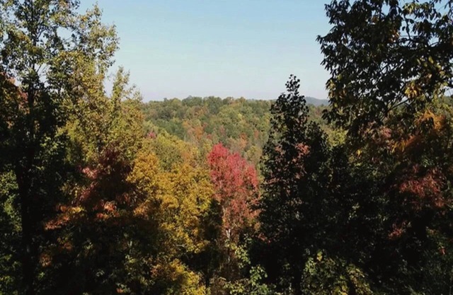 Treehouse Sevierville 