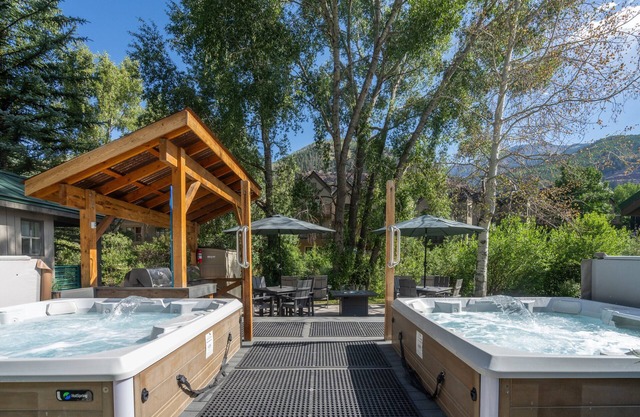 Mountainside Inn 104 1 Bedroom Condo by Alpine Lodging Telluride