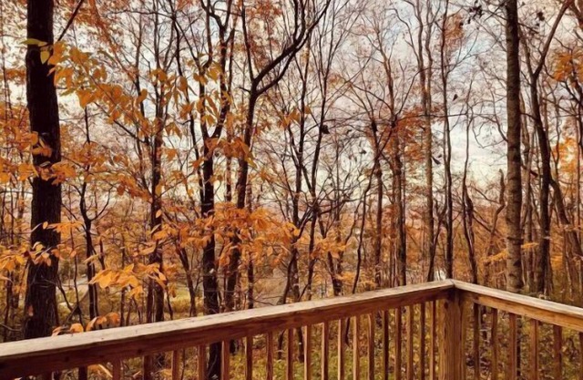 Mountainside retreat 20 minutes from Downtown