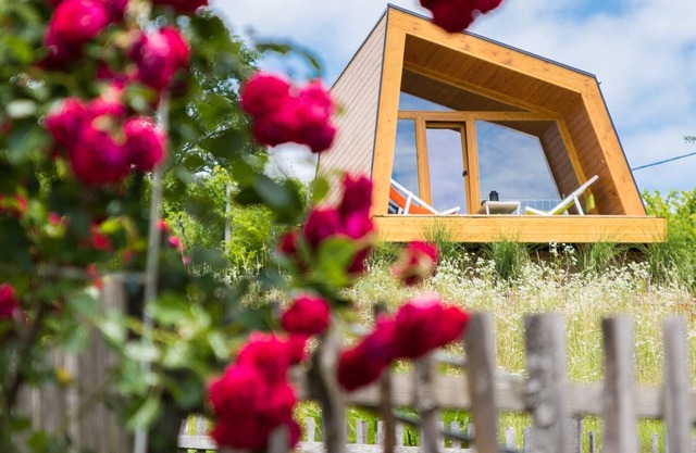 MOUTAIN VIEW ROMANTIC GLAMPING HUT VISOLE