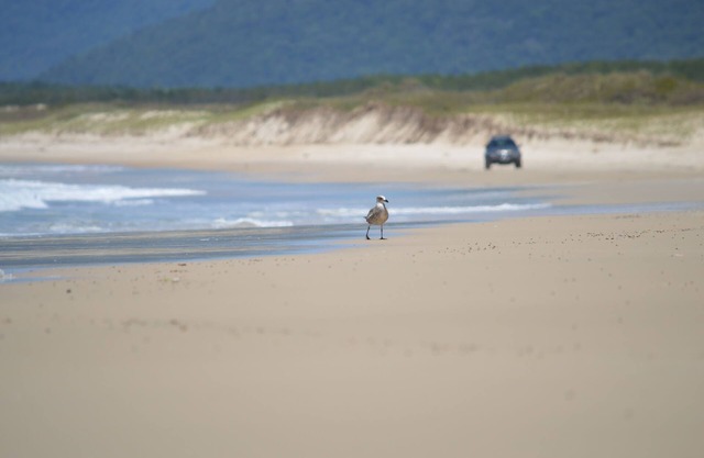Mozamba Surf House - House for 5 people near the beach.