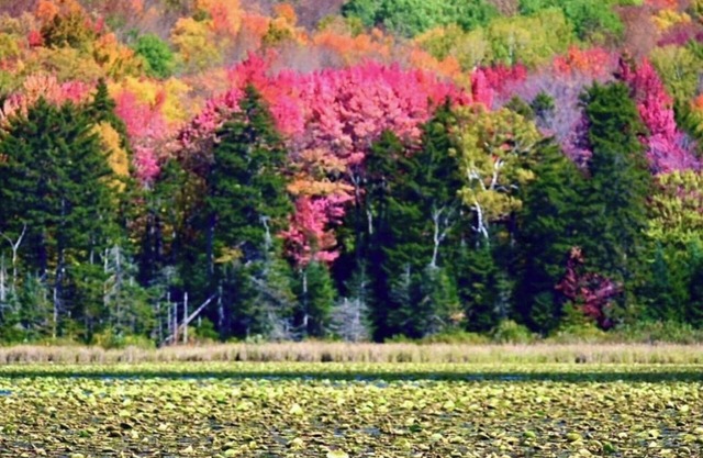 MT Holly Ski/lake house hideaway(Avail. Daily, weekends & seasonally Dec-April)