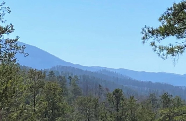 Mtn.View from Hottub, A+ Location 2 Mi to PF.Pkwy,Not up Mtn,Private,SUPERCLEAN