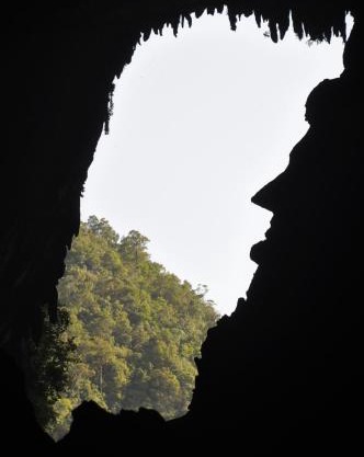 Mulu National Park