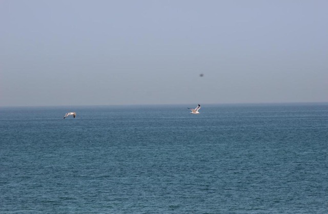 Muscat beach Guest house Room 02