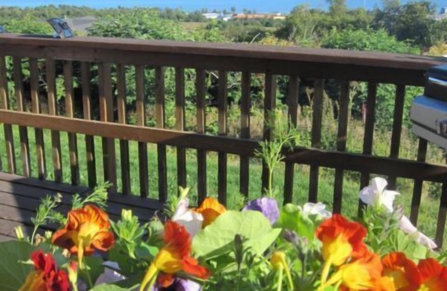 Musician's Paradise With Spectacular Views