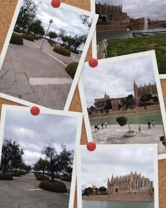 Palma 