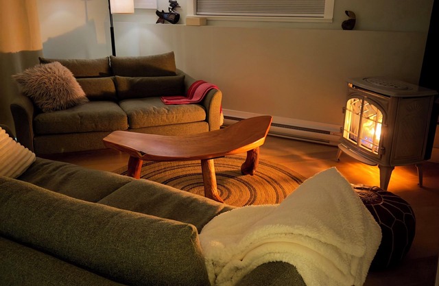 Nanaimo Old City Quarter. Dog friendly, 2 bedroom garden suite with gas stove.