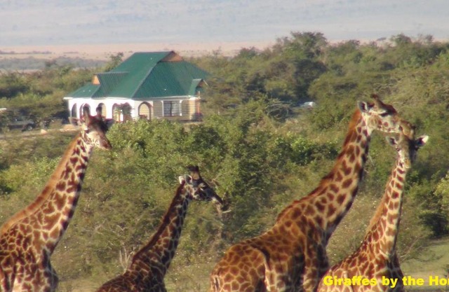 Narasha Homestay - Maasai Mara