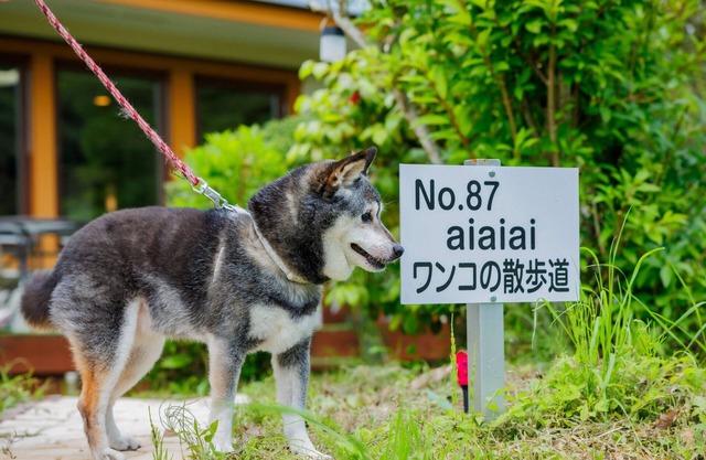 Natural hot spring rental villa aiaiai Dog walking/Kattagun Miyagi