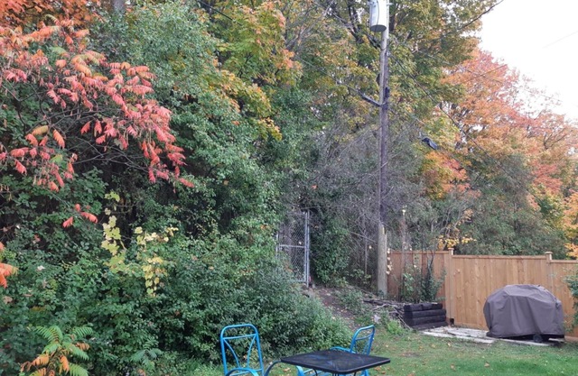 Nature Living 5 minutes from Downtown