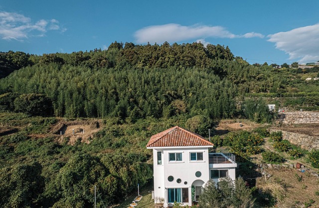 Nature-Lover’s Jeju Escape, Private Forest Stay with Seasonal Blooms & Skies