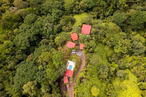 Nature's Edge Boutique Hotel