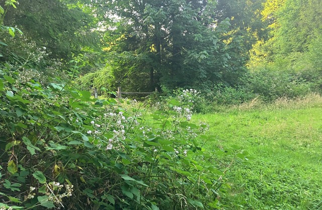 Nature's Paradise Camp Spot!