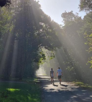 Nature's Valley Health Retreat A Hide away in the Forest